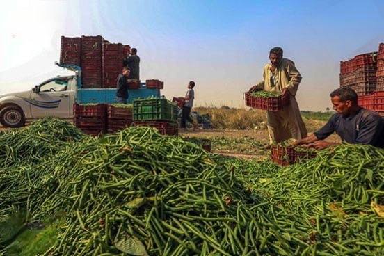 Field Harvesting