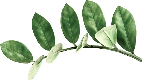 Natural Green Leaves