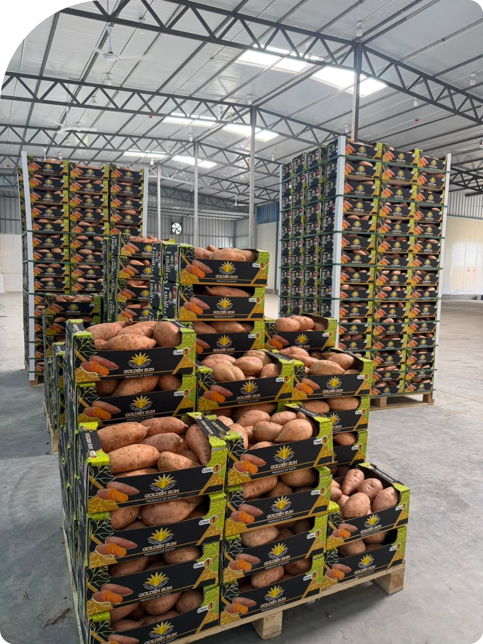 Flexible Packing